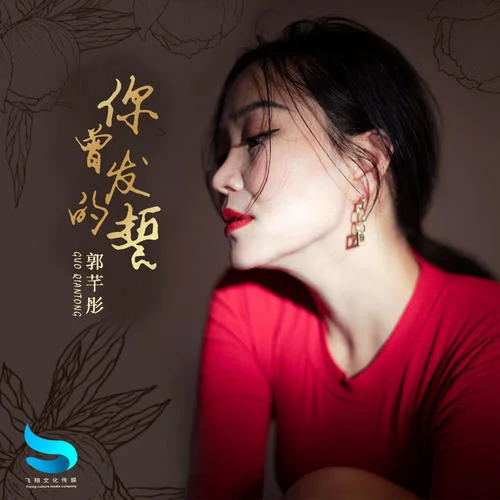 你曾發(fā)的誓(DJ默涵版伴奏)-郭芊彤