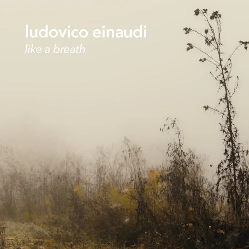 Una Mattina(纯音乐)-Ludovico Einaudi