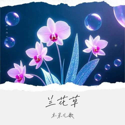 蘭花草-木米兒歌