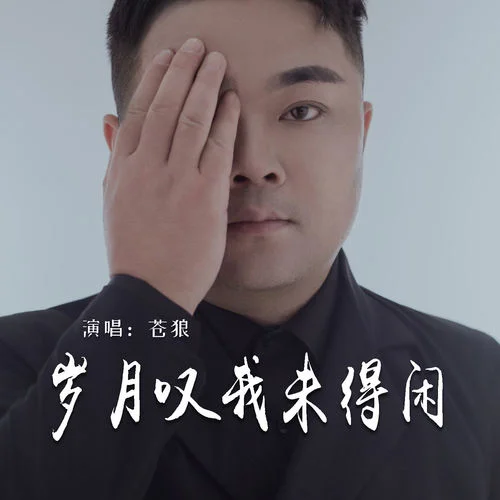 歲月嘆我未得閑-蒼狼