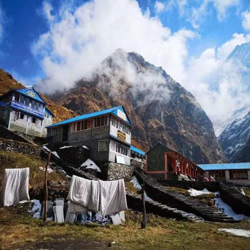 真心實意我兩個-楊林&林祖能