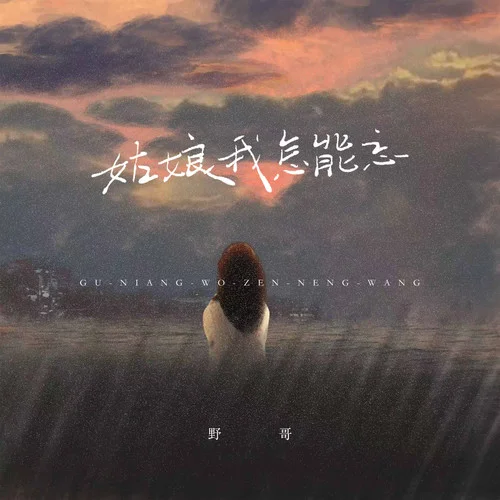 姑娘我怎能忘 (DJ豪大大)-野哥