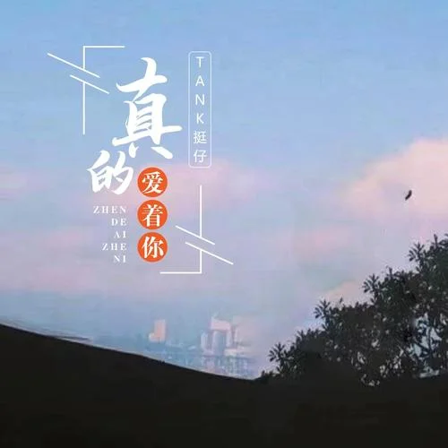 真的爱着你-TANK挺仔