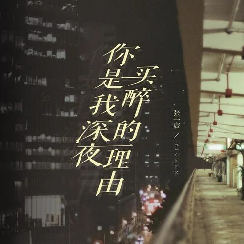 你是我深夜買(mǎi)醉的借口(DJheap九天版)-張一宸