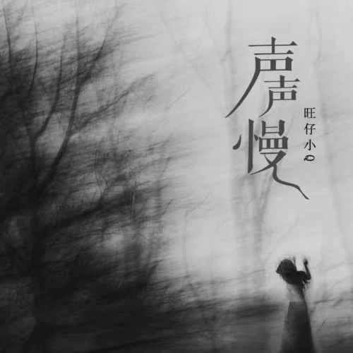 聲聲慢(女聲版)-旺仔小Q