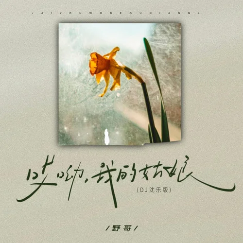 哎呦我的姑娘 (DJ沈樂版)-野哥