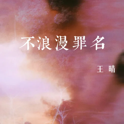 不浪漫罪名-王晴