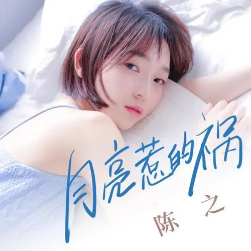 月亮惹的禍(DJ熱搜版)-陳之