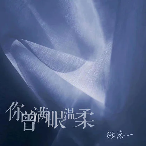你曾滿眼溫柔-張洛一