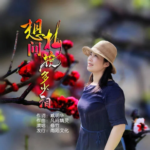 想問梅花多少淚-修竹