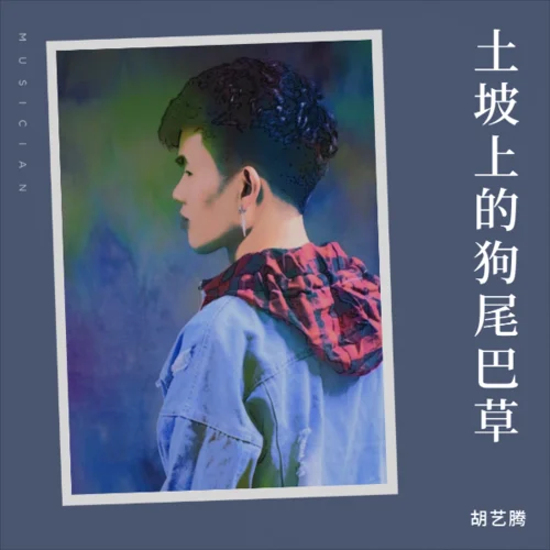 土坡上的狗尾巴草（原版）-胡藝騰