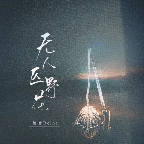 無人區(qū)野花-蘭音Reine