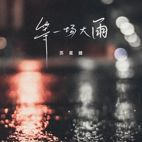 等一场大雨-苏星婕