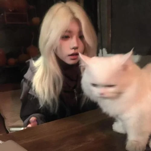 未來(lái)的每一天 (DJ哇扣旋律)-DJ杰瑞