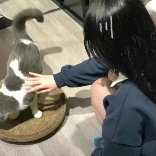 been loving(宿命版)-EMOWZ