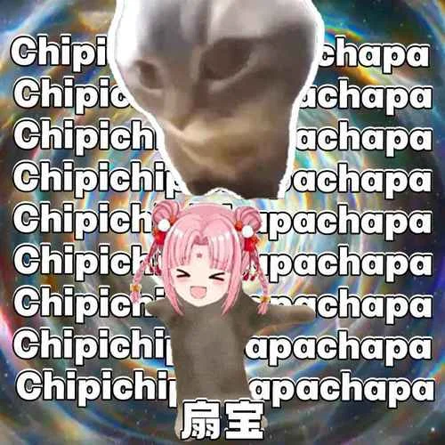 chipi chipi chapa chapa-扇寶