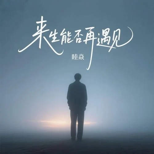 來(lái)生能否再遇見(jiàn)-睦焱