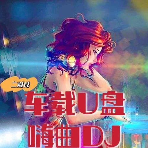 嗨曲DJ- 車載dj-《DJ版經(jīng)典情歌合集》每天聽一遍，心情好一天-王二牛