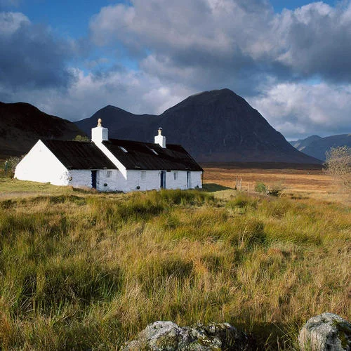 除了你我誰都不愛-林汐晴