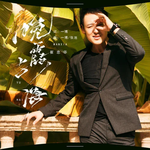 晚霞與海-崔忠華