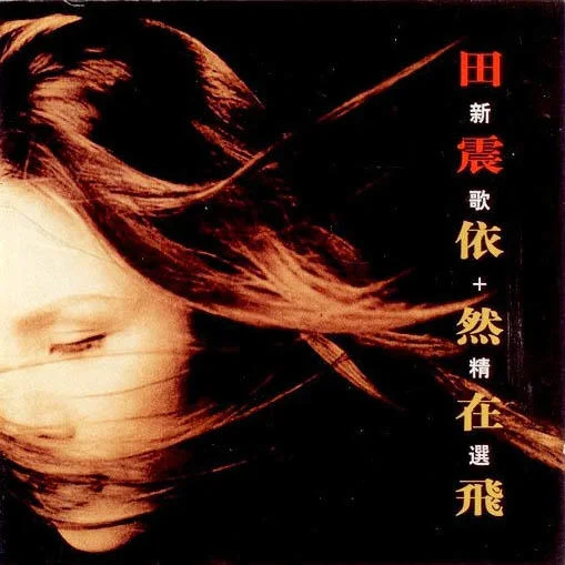 雨中的鳥依然在飛-田震