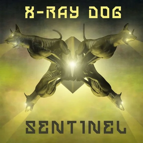 Song of the Wind-X-Ray Dog