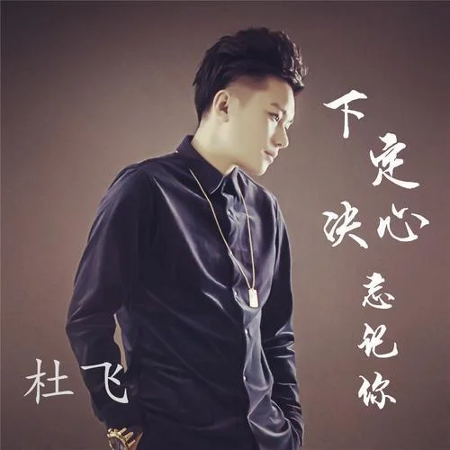 下定決心忘記你-杜飛