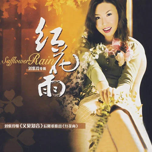 網(wǎng)絡(luò)情緣-劉紫玲