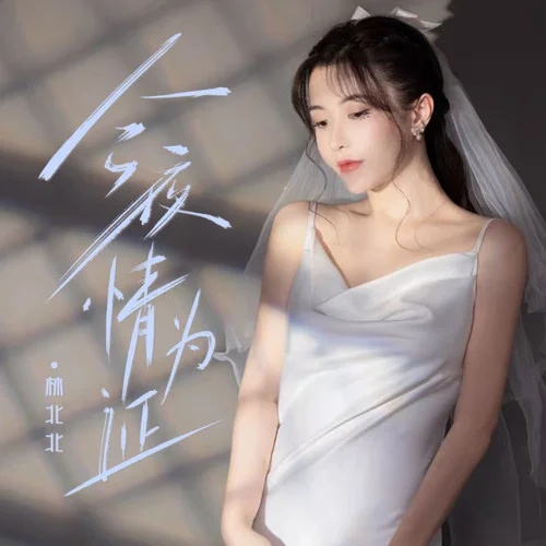 今夜情為證 (女版)-林北北