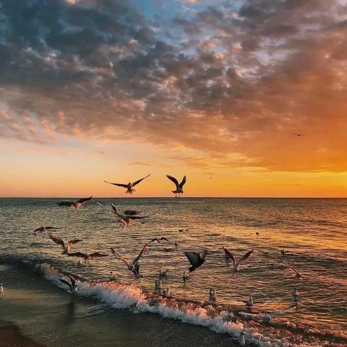 Grace (JannikRemix惊鸿)-王辰希