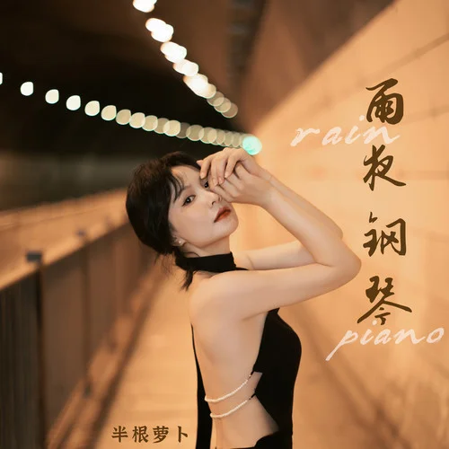 雨夜钢琴 (防城港进行曲dj版)-半根萝卜