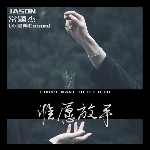 誰愿放手-常穎杰