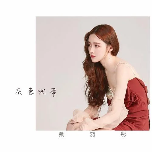 灰色地帶-戴羽彤