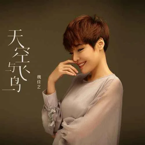 天空與飛鳥-魏佳藝