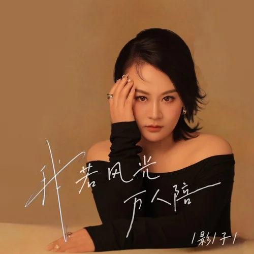 我若風(fēng)光萬(wàn)人陪 DJ-影子