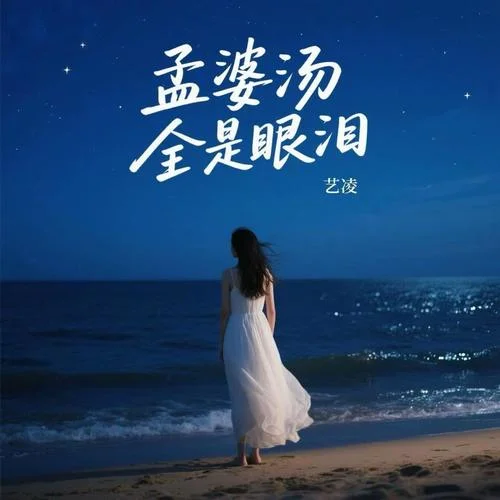 孟婆湯全是眼淚 (DJ浩然版)-藝凌