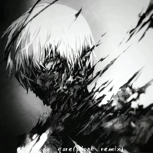 Happy Hare(phonk) (Remix)-Love.