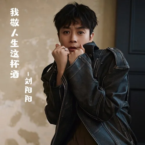 我敬人生这杯酒-刘阳阳