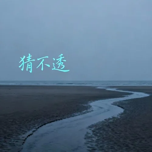 猜不透-大头针AI