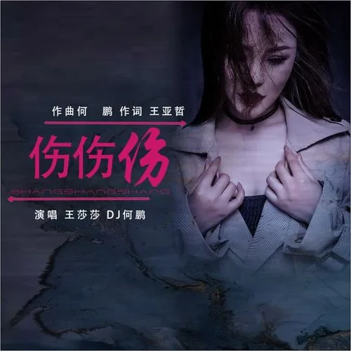 傷傷傷-王莎莎&何鵬