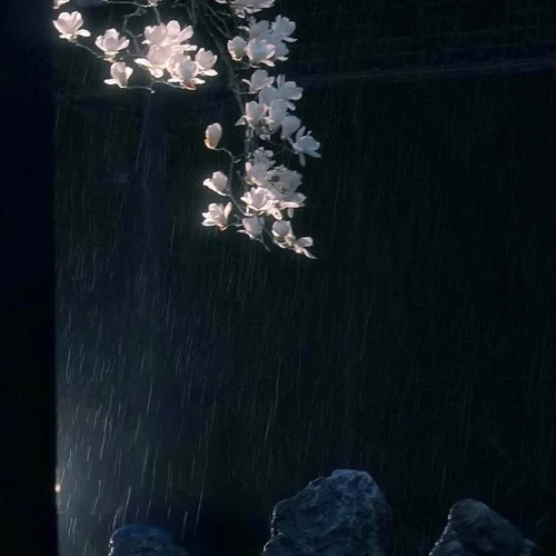 唱?jiǎng)e久悲不成悲-Kikyoyi