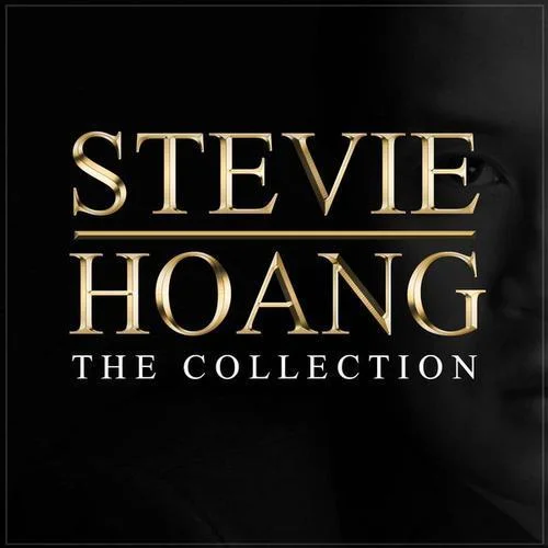Before You Break My Heart-Stevie Hoang