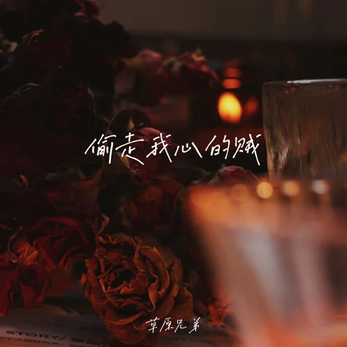 偷走我心的賊-草原兄弟