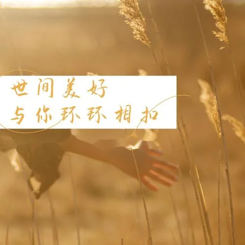 世間美好與你環(huán)環(huán)相扣-弦外之音