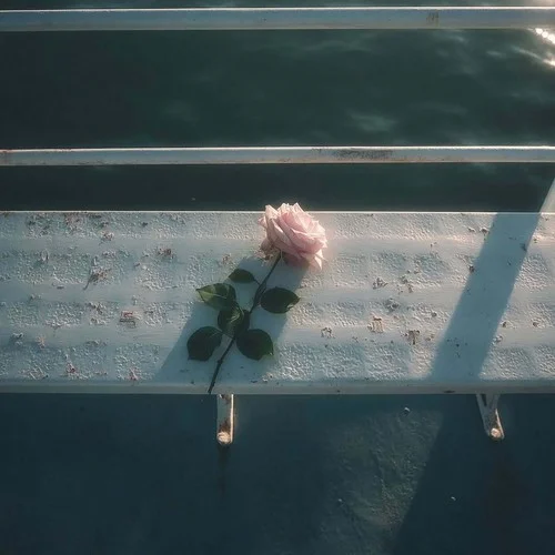 又是一年楓葉落-韓跑跑