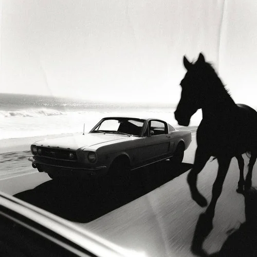 高燃進行曲-Conch