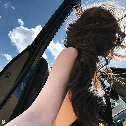 植物大戰(zhàn)僵尸 (DJ進(jìn)行曲)-Dr.Phonk