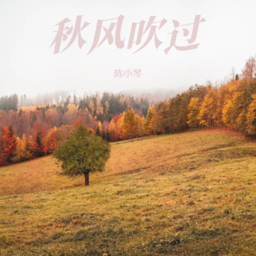 秋風(fēng)經(jīng)過-DJ阿能版-陳小琴