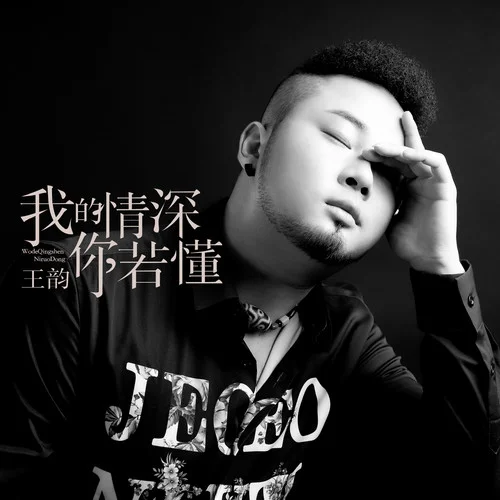 我的情深你若懂-王韻