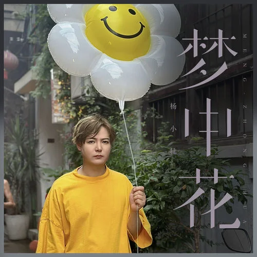 夢(mèng)中花-楊小壯